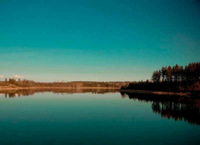 Мои увлечения и хобби