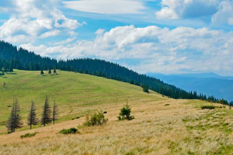 Главная мысль рассказа Уроки французского