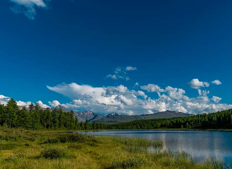 Портрет героя в рассказе Уроки французского